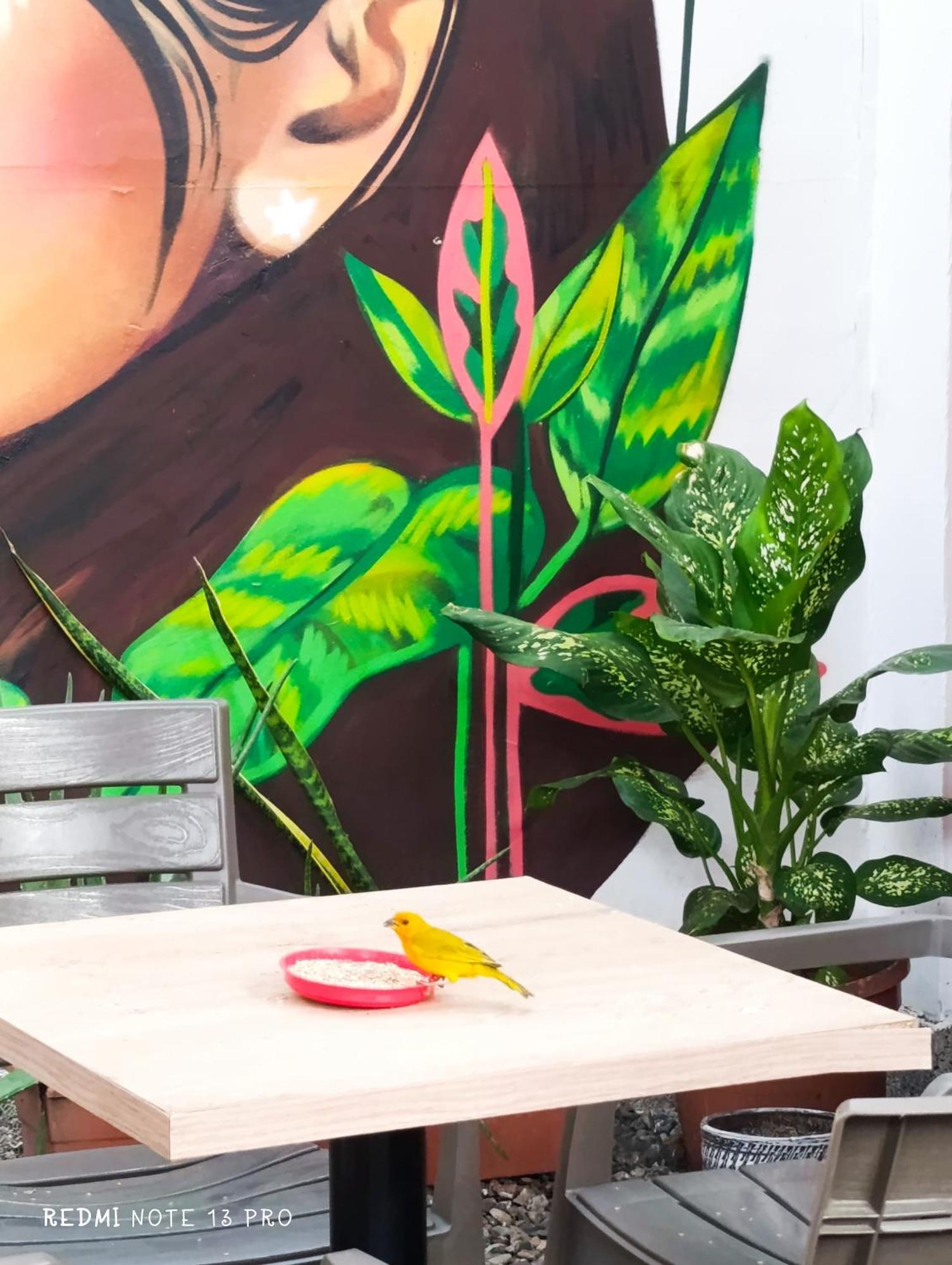 Hospedaje Casa Cultural Saberes Neiva  Kültér fotó